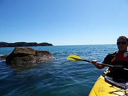 Kayak - Abel Tasman Nationaal park