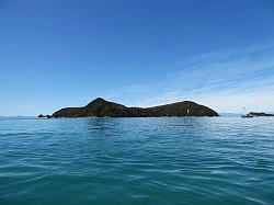 Kayak - Abel Tasman Nationaal park