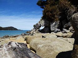 Kayak - Abel Tasman Nationaal park