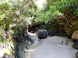 Kayak - Abel Tasman Nationaal park