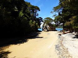 Kayak - Abel Tasman Nationaal park