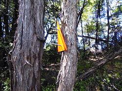 Kayak - Abel Tasman Nationaal park