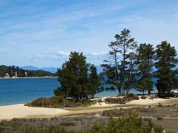 Kayak - Abel Tasman Nationaal park