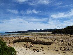 Kayak - Abel Tasman Nationaal park