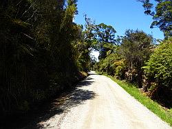 Oparara Basin