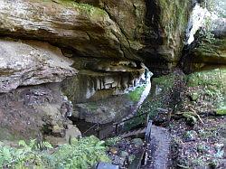 Oparara Basin