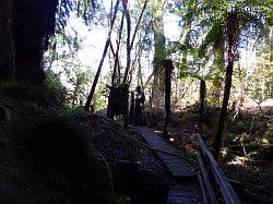 Oparara Basin