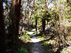 Oparara Basin