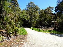 Oparara Basin