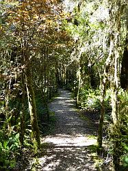 Oparara Basin