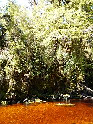 Oparara Basin