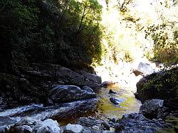 Oparara Basin