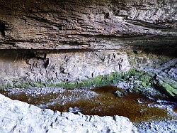 Oparara Basin