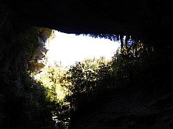 Oparara Basin