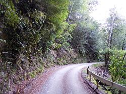 Oparara Basin