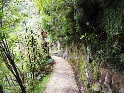 Heaphy Track 