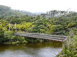 Heaphy Track 