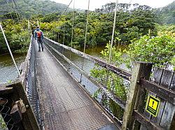 Heaphy Track 