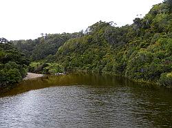 Heaphy Track 