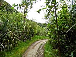 Heaphy Track 