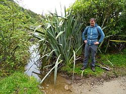 Heaphy Track 