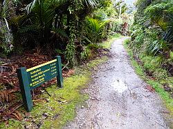 Heaphy Track 