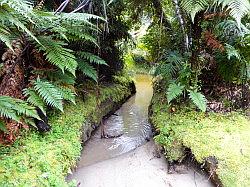 Heaphy Track 