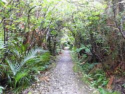 Heaphy Track 