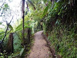 Heaphy Track 