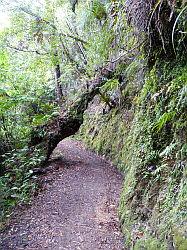 Heaphy Track 