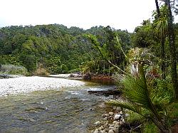 Heaphy Track 