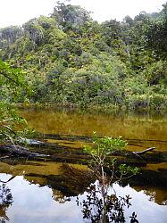 Heaphy Track 