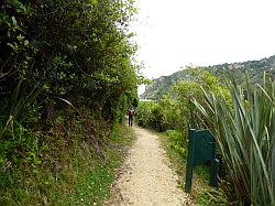 Heaphy Track 