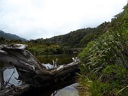 Heaphy Track 