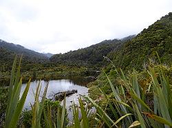 Heaphy Track 