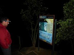 Punakaiki Cavern