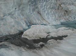 Fox Glacier (heli hike)