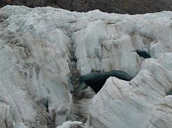 Fox Glacier (heli hike)