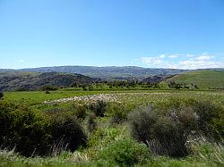 Taieri Gorge Railway