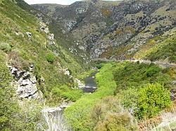 Taieri Gorge Railway