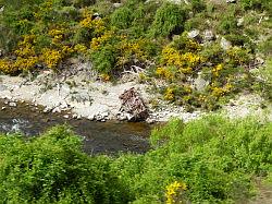 Taieri Gorge Railway