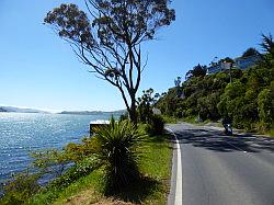 Southern Scenic Road