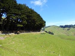 Southern Scenic Road