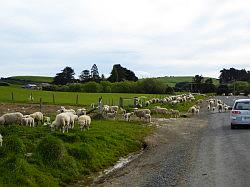 Southern Scenic Road