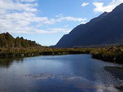 Milford Highway