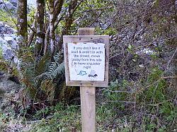 Milford Highway