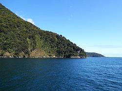 Milford Sound