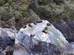 Milford Sound