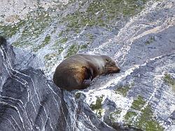 Milford Sound