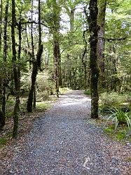 Milford Highway